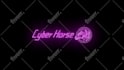 create a unique custom logo animation and 2d youtube intro