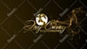 do luxury gold logo reveal animation