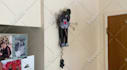 do flawless clean up , wire removal ,vfx paint