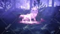 create 4k lone wolf howling logo intro animation