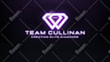 create best premium 3d logo animation or youtube intro video