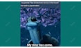 create reddit dank and funny memes  compilation videos for your youtube channel