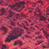 create 3d abstract fractal music video