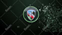 create eye catching logo animation just in 24 hours