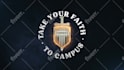 create a high quality, custom logo animation