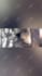 create funny viral cat dog animal pet videos compilation for youtube in 24 hrs