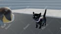 do 3d modeling and character animation using blender 3d