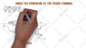 create professional whiteboard animation explainer video in 1 day