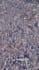 create high quality gis maps, spatial analysis, and cartography solutions