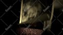 make horror lights out horror intro video