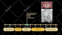 animate infographics and explainers with motion graphics