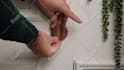 create a professional product video in a natural setting