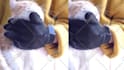 clean up your video, removing objects,wires graffiti,ads etc