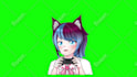 draw custom png tuber or giftuber for vtuber streamer