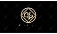 intro video for your logo industrial laser
