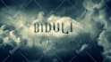 create this amazing Harry Potter intro for you