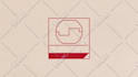 create story telling custom logo animation