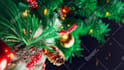 create christmas tree intro logo animation video