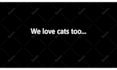 do super car promotional business video ad logo