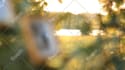 create a magical photo slideshow for your loved ones