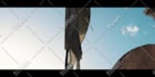 do elegant photo slideshow video and wedding slideshow