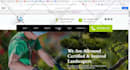 design wix website wix website design wix website redesign