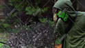 do green screen editing and vfx compositing for your video