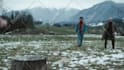 do screen replace, clean up, and rotoscoping professionally
