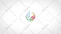 create 10 stunning 4k logo animation or animated intro video