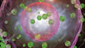 do 3d medical animation