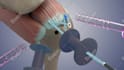 do 3d medical animation