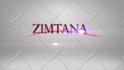 design youtube intro outro or logo animation