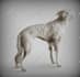 3d model your pet for 3d print