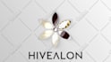 create glorious custom logo animation within 24 hour 3d 2d