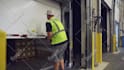 make logistic parcel delivery service video for your logo
