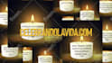 do a professional video edit and motion graphics