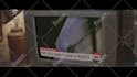 do screen replacement vfx, signboard, and eyes replacement