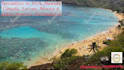 do travel agency, travel agent and travel planer  promo video