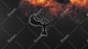 create luxury fire wings intro logo video