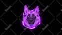 create twitch animated alerts