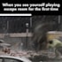 create viral hilarious memes to spice up your social media