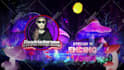 design custom  animated twitch overlay, twitch  logo and screens