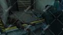 edit u a professional cod or any montage with 3d text