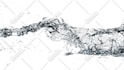 make water trail logo reveal video in full hd in 24 hours