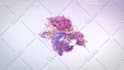 create colorful splash logo animation within 24 hours