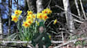 be your magical Leprechaun on video