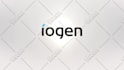 do web development in react
