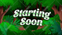 create overlay screen, panels, facecam for your stream
