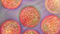 create a science and medical animation with visual effects