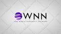 create a high quality, custom logo animation